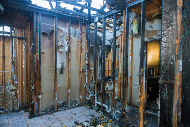 Professional Fire Damage Assessment technician working in Stacy, MN